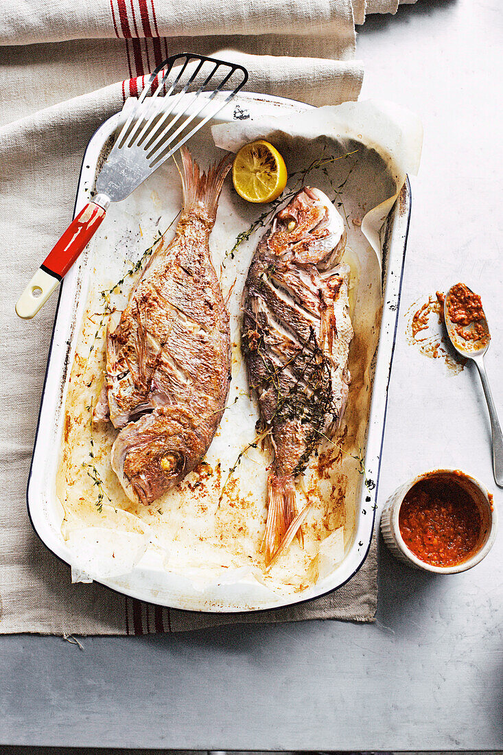 Grilled snapper with romesco sauce