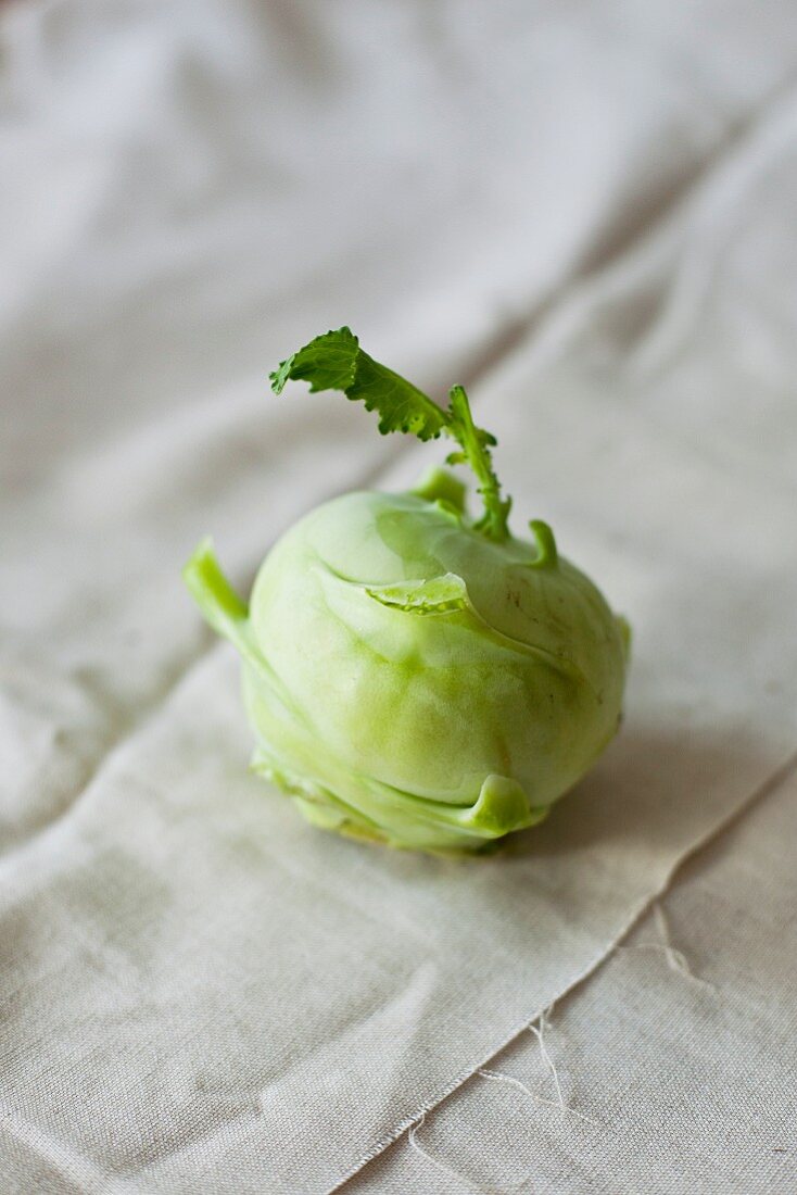 Ein Kohlrabi auf Leinentuch