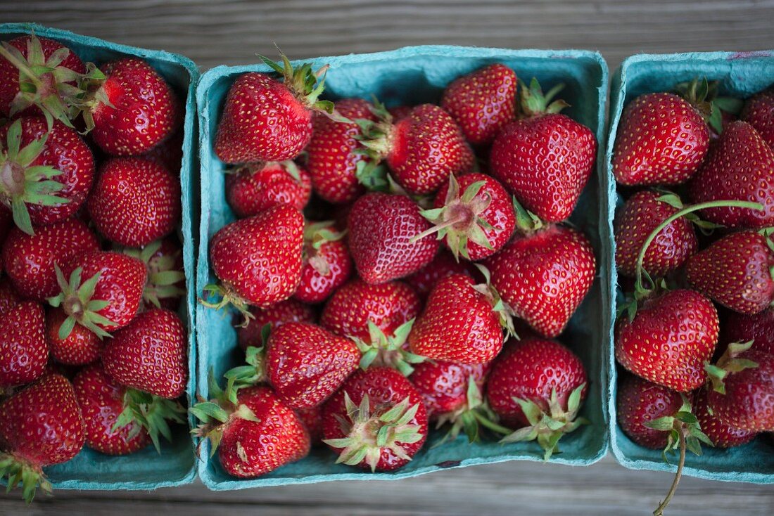 Frische Erdbeeren in Pappschälchen (Aufsicht)