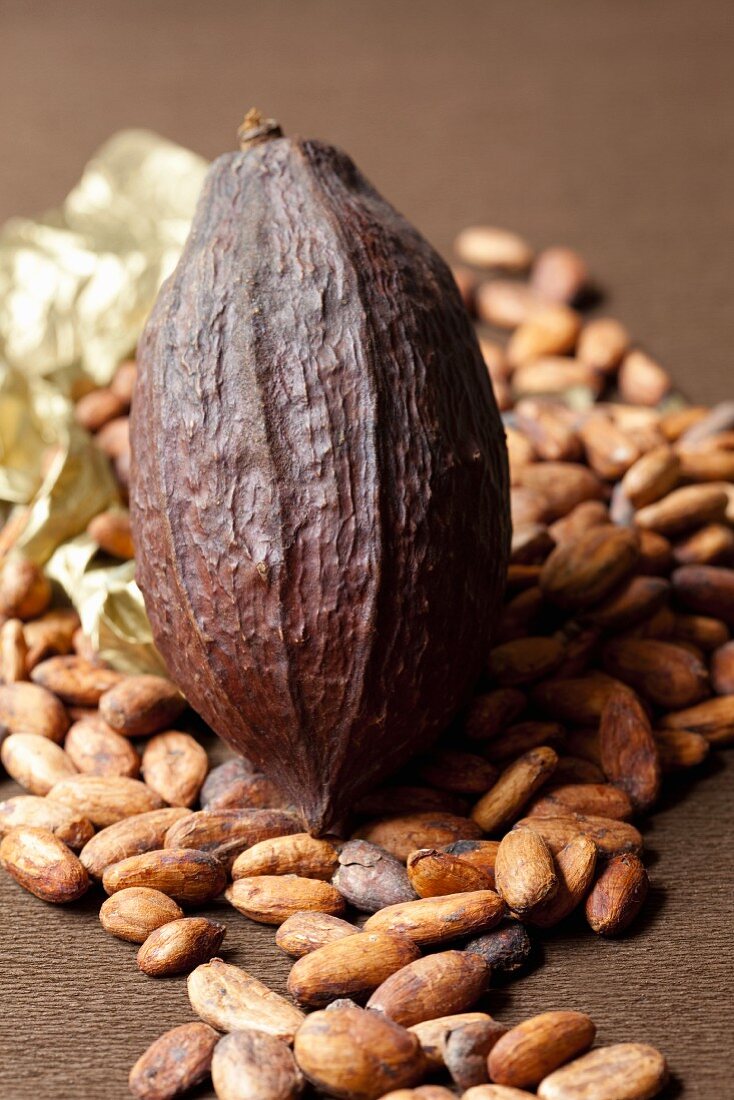 Kakaobohnen und Kakaoschote