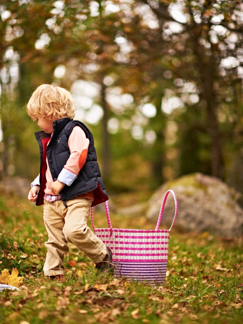 Little boy walking through an autumn woodland clearing