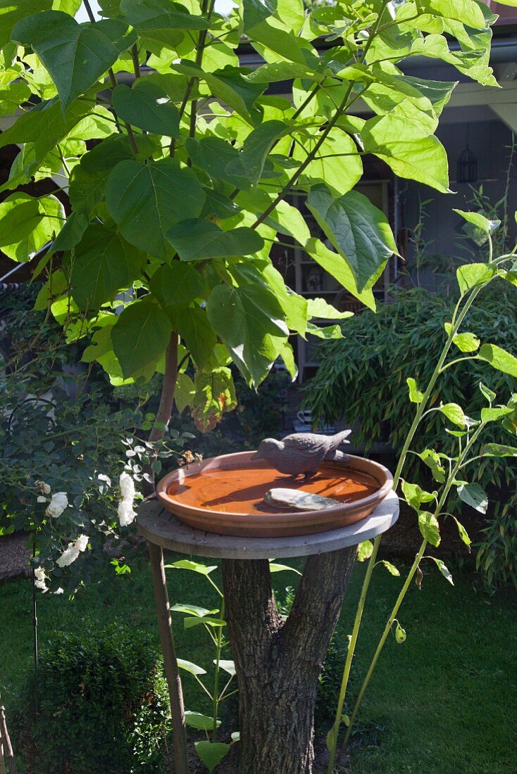 Vogelbad mit Vogelfigur auf Baumstamm