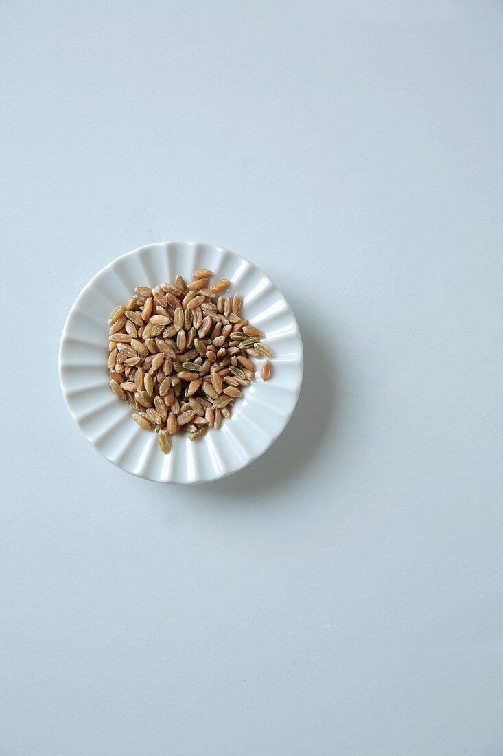 A dish of unripe spelt grains