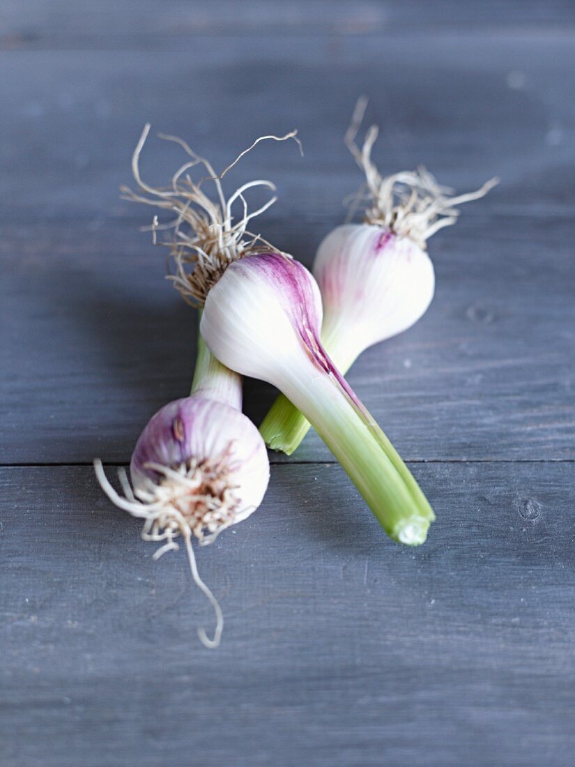 Three young bulbs of garlic