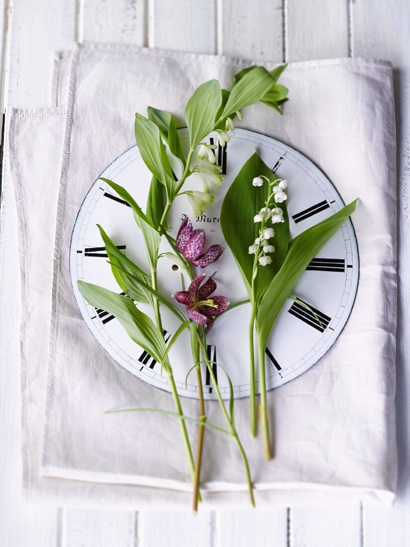 Spring flowers on a clock face with Roman numerals