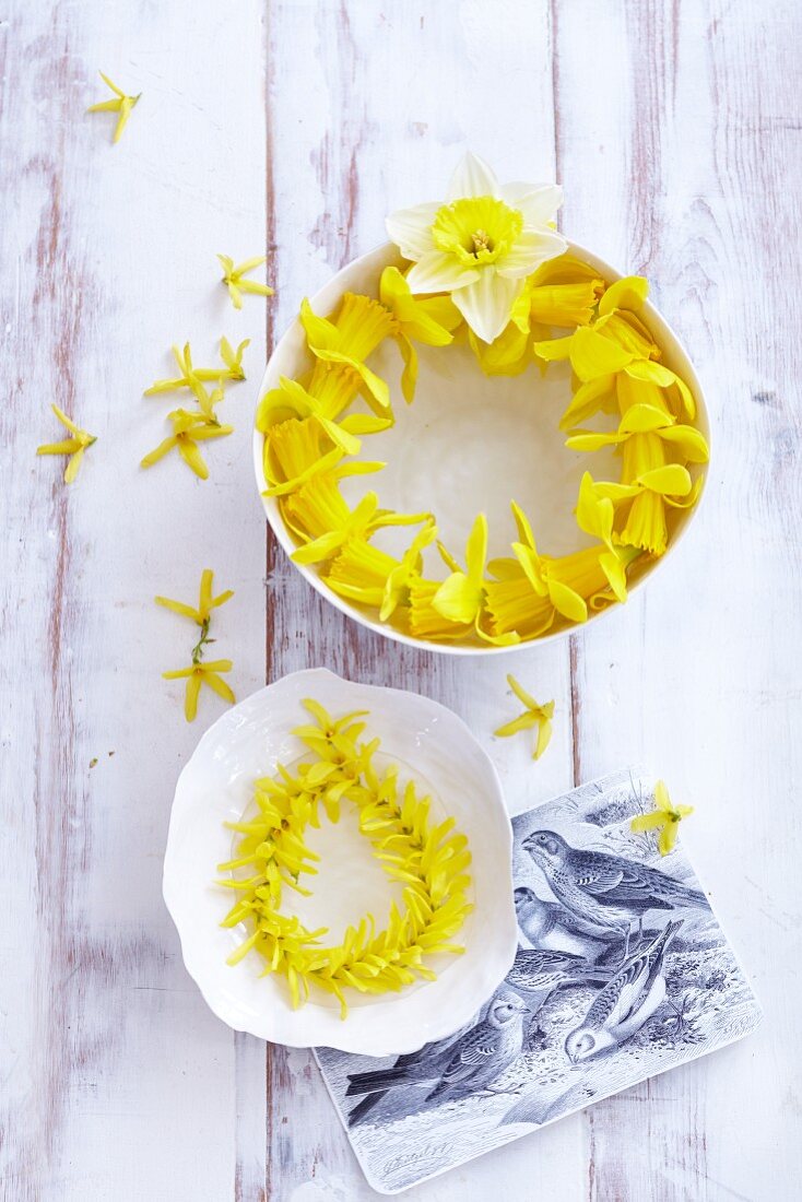A wreath of forsythias and narcissi in bowls of water as table decorations