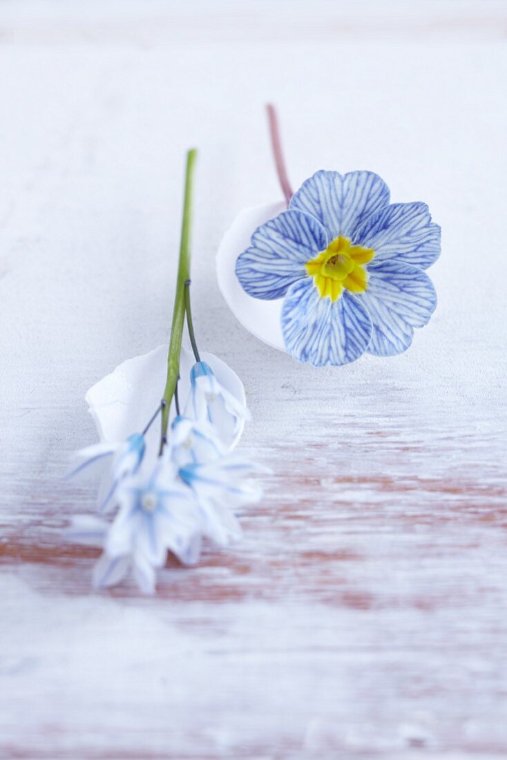 Blaue Frühllingsblüten mit Eierschalen als Tischdeko