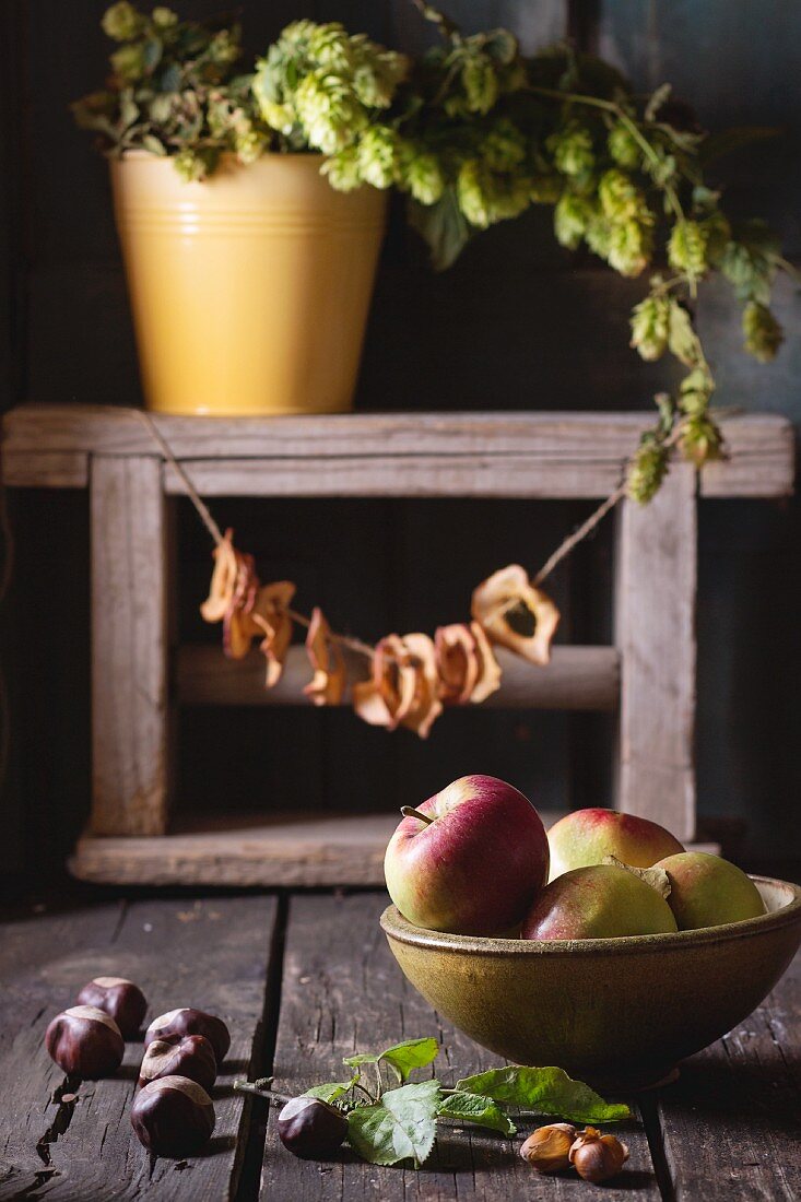 An autumnal arrangement of apples, chestnuts, nuts, apple rings and hops