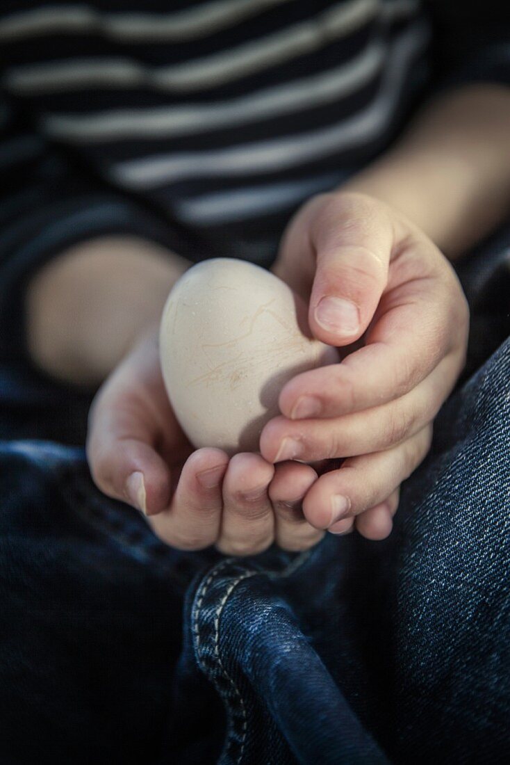 Kinderhände halten ein Ei