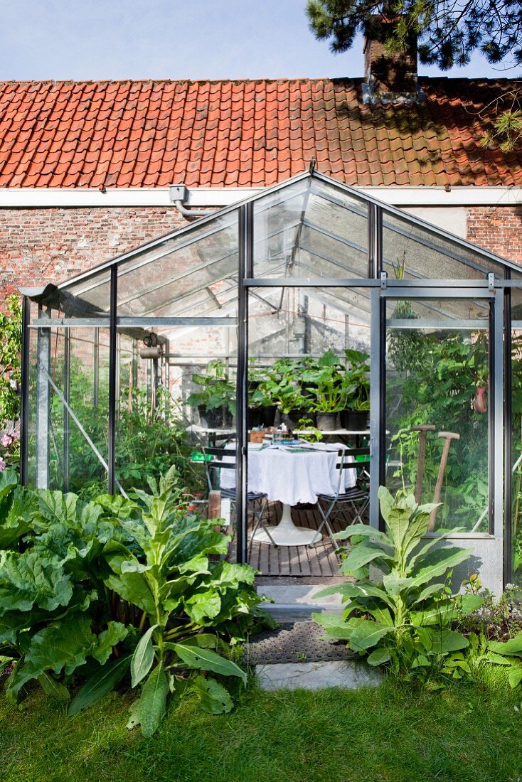 Grünpflanzen vor Gewächshaus mit Sitzplatz, weisser Tischdecke auf Tulip-Tisch und Gartenpflanzen