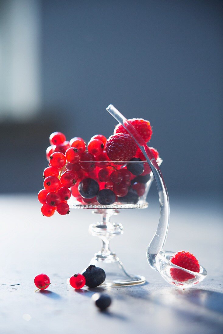 Various berries in a stemmed glass