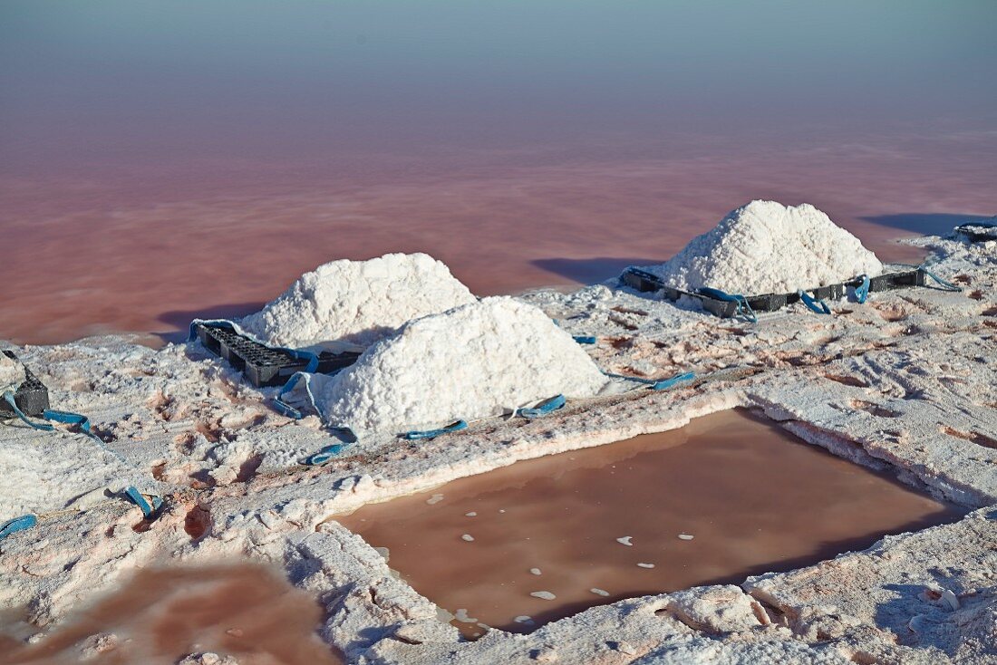 Sea salt extraction in Camargue, France