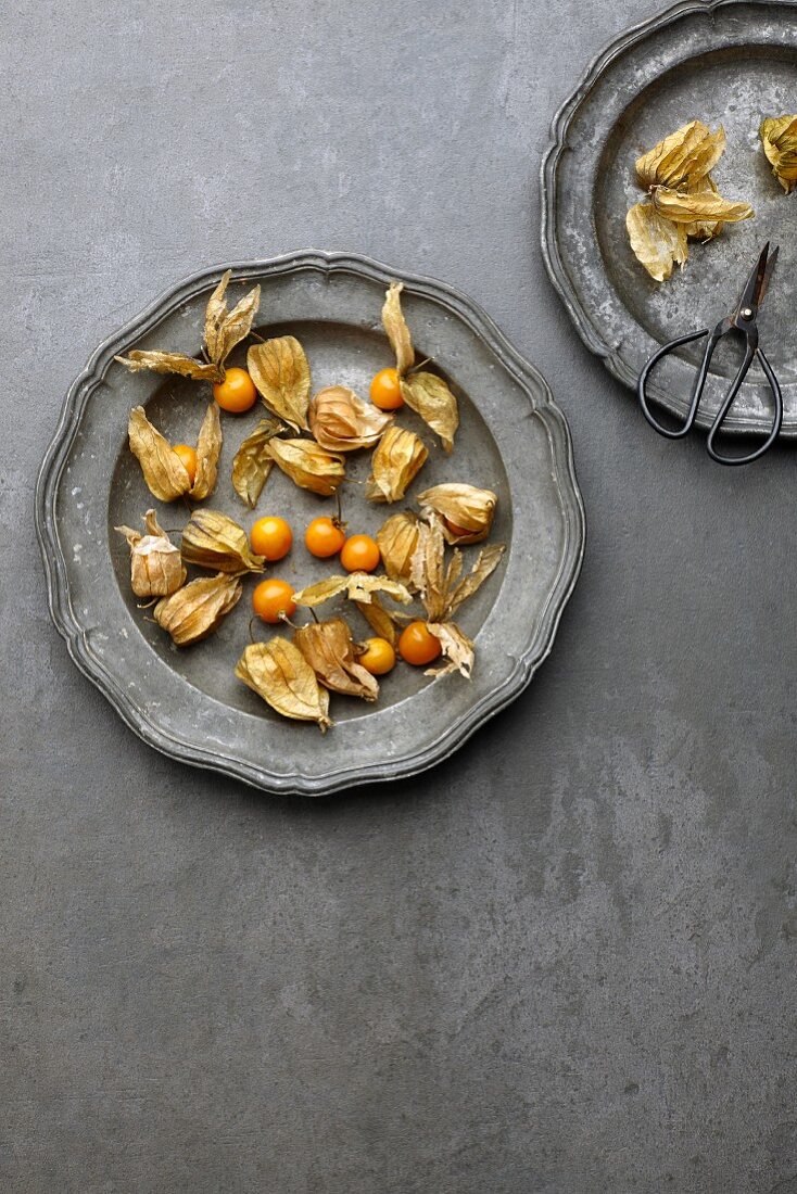 Frische Physalis auf Vintage-Metallteller (Aufsicht)