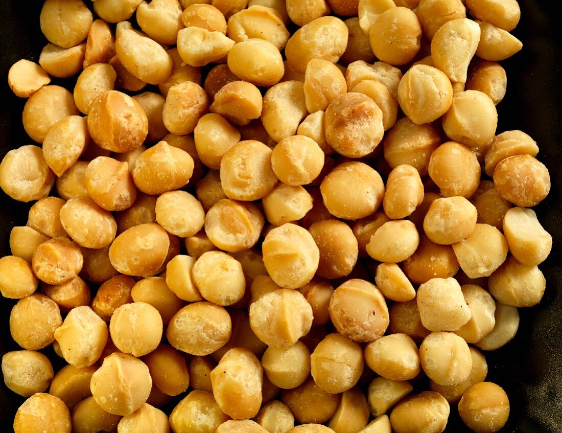 Roasted macadamia nuts