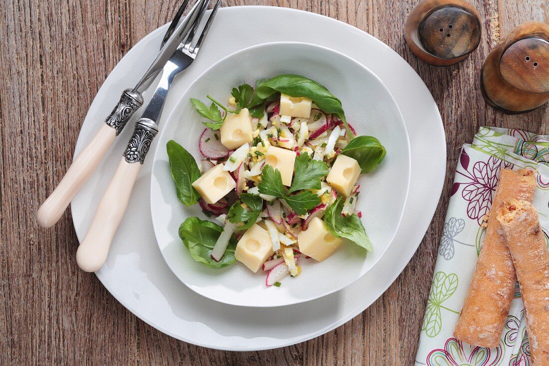 Cheese salad with radishes and basil