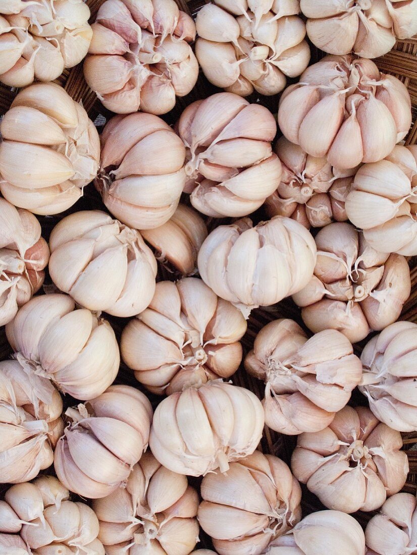 Fresh bulbs of garlic (full frame, seen from above)