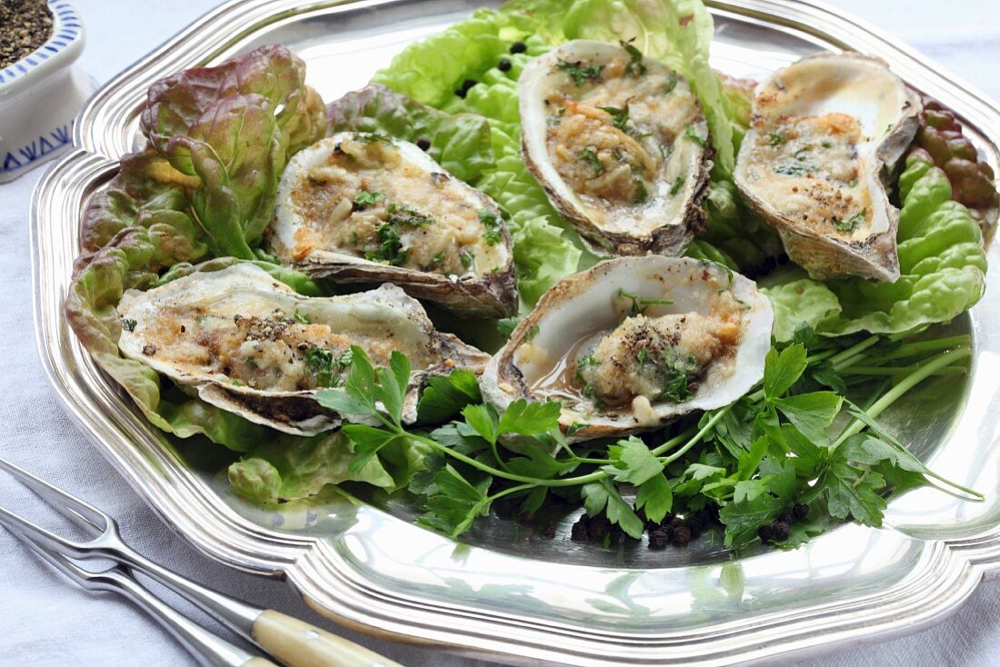 Grilled oysters with herbs on a silver tray