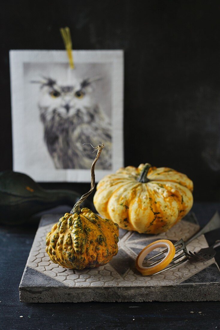 An autumnal arrangement of ornamental pumpkins and a picture of a bird