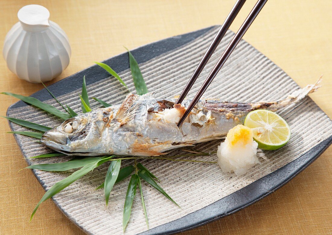Grilled horse mackerel (Japan)