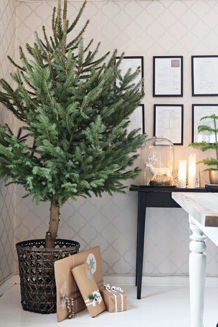 Undecorated Christmas tree in basket against patterned wallpaper