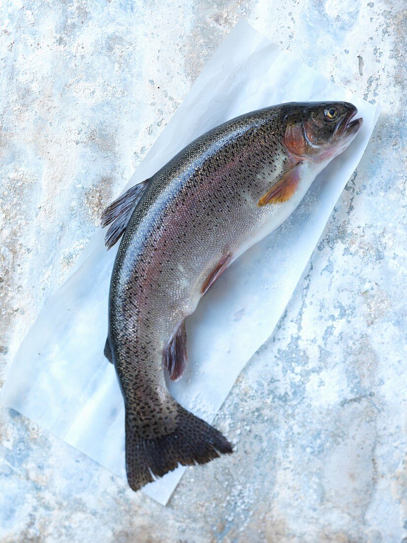 A fresh salmon trout on a piece of paper