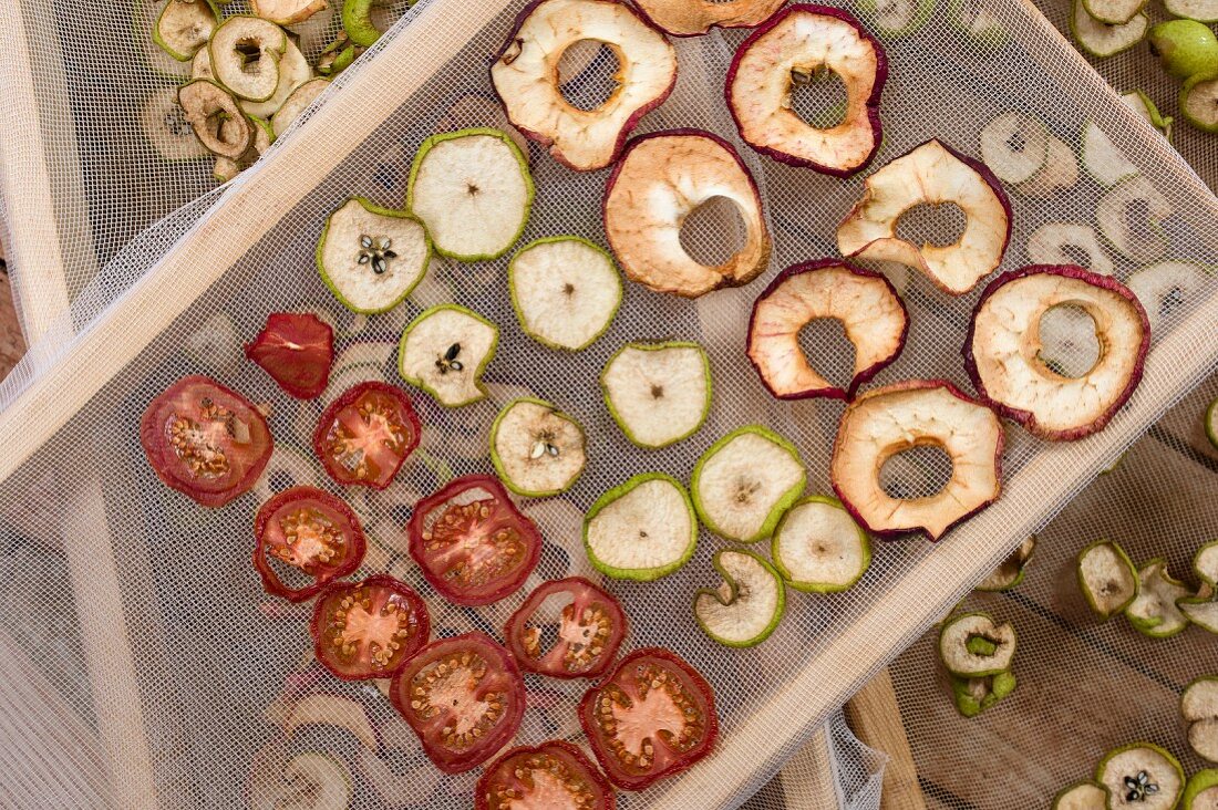 Tried apple rings, tomatoes and pear slices on a mesh rack