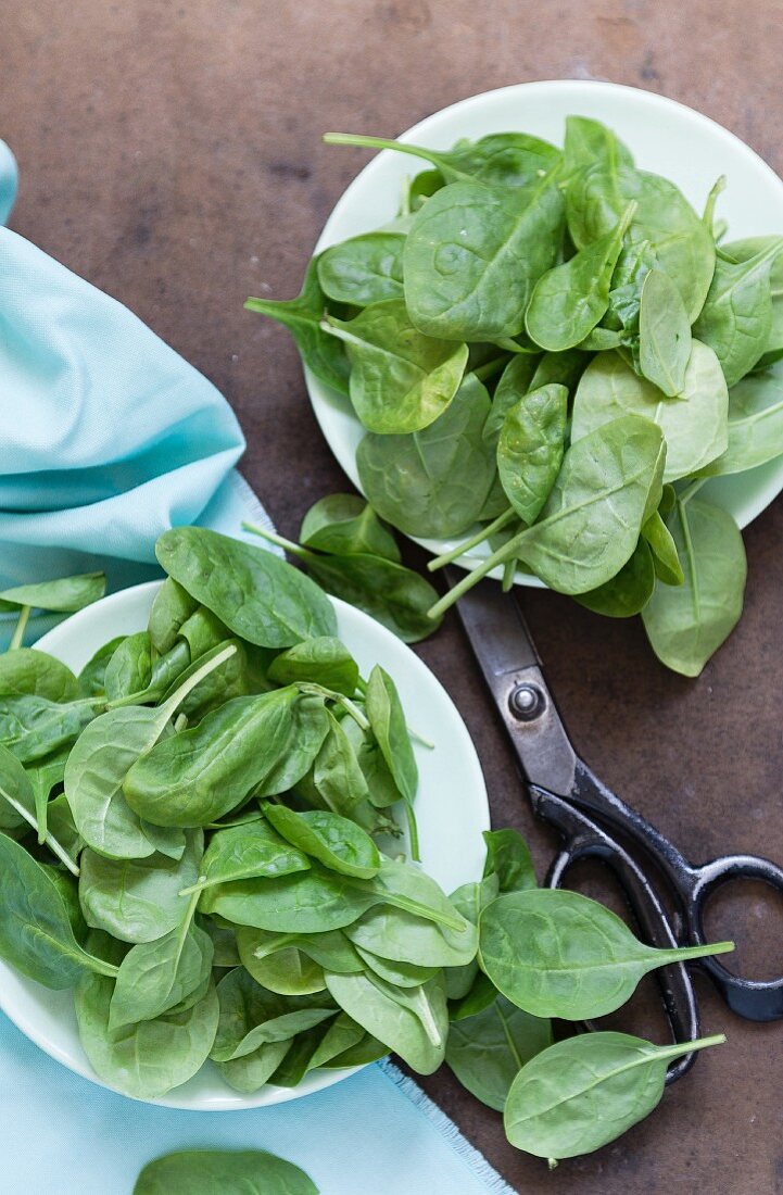 Baby spinach on a white plate