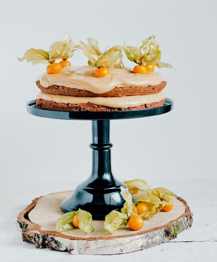 Chocolate cake with physalis (Cape gooseberries)