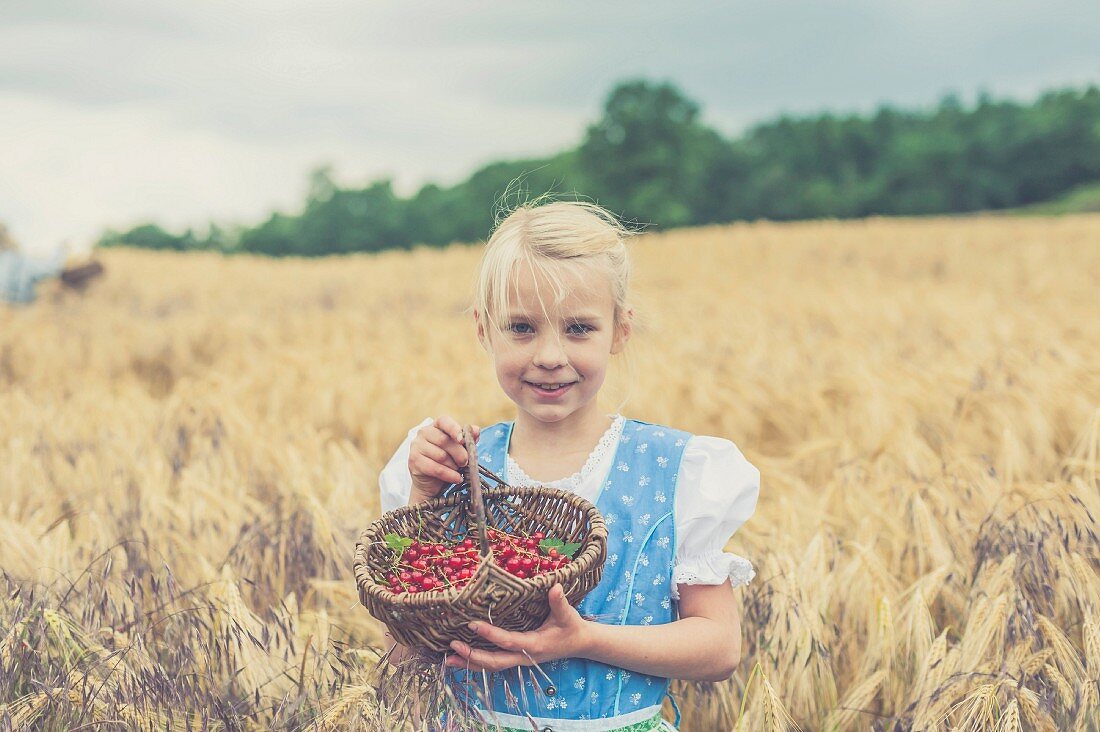 A little girl wearing a dirndl standing in the middle of a cornfield holding a basket of redcurrants