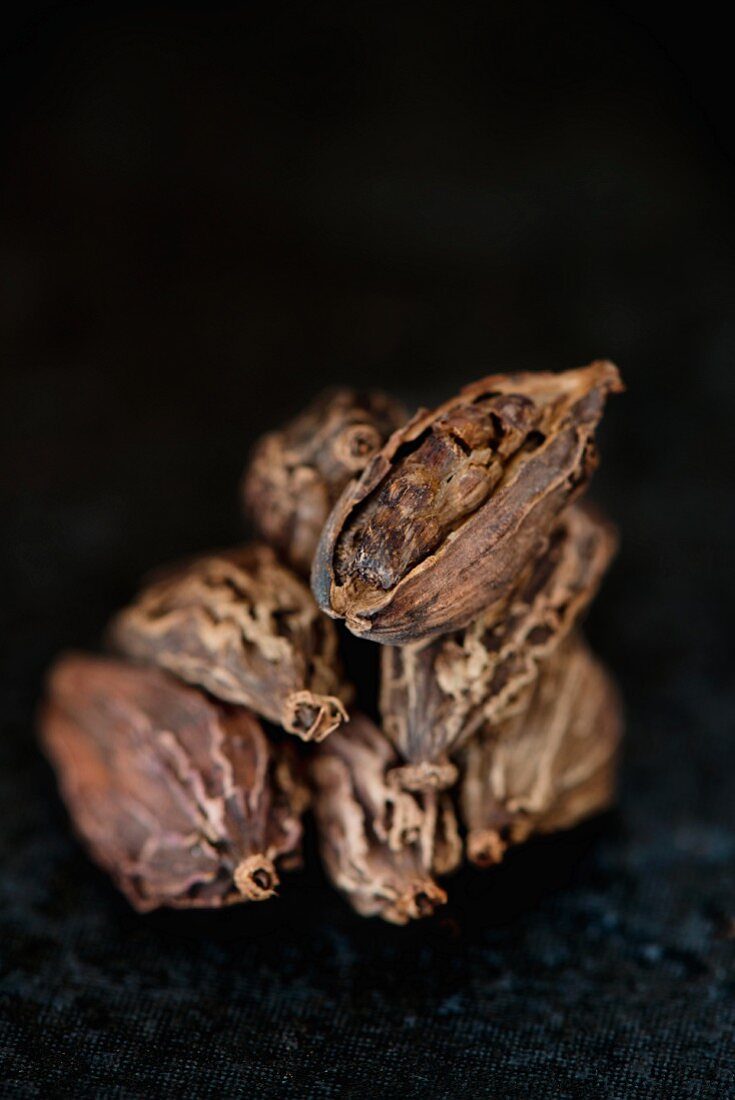 Black cardamom pods (close-up)