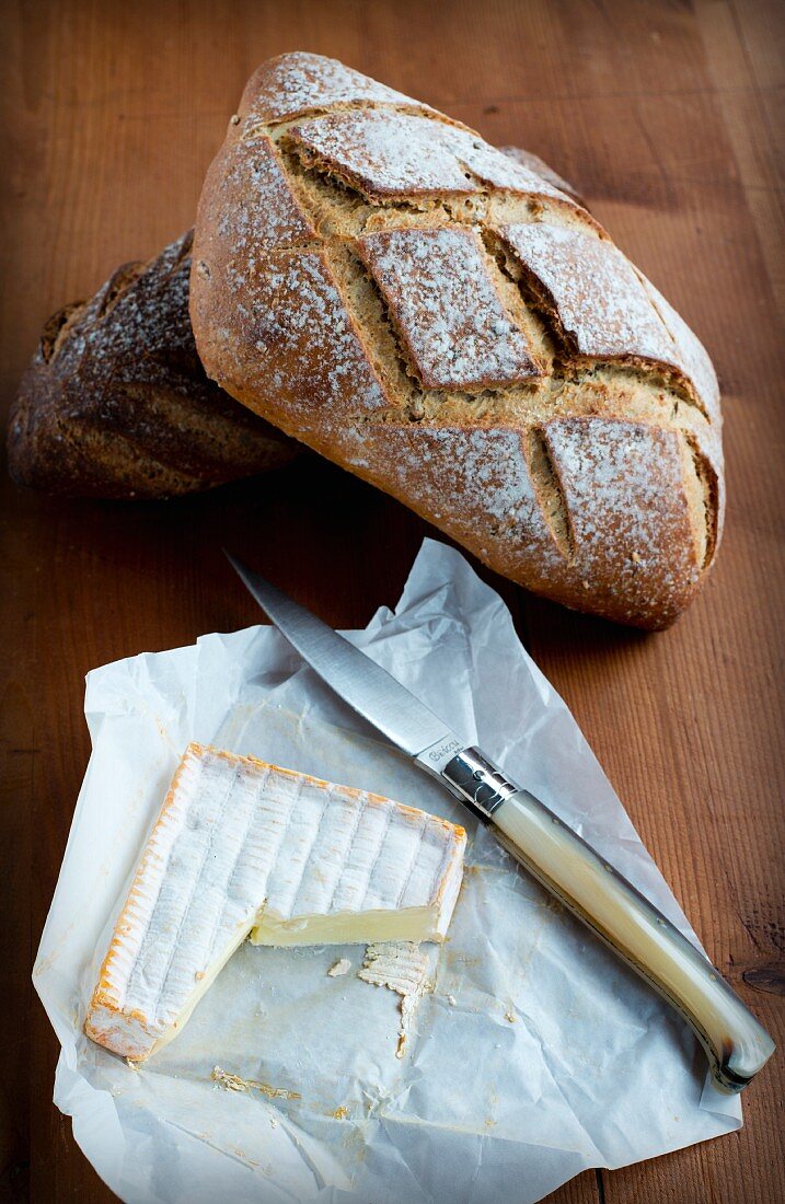 Bread and cheese from France