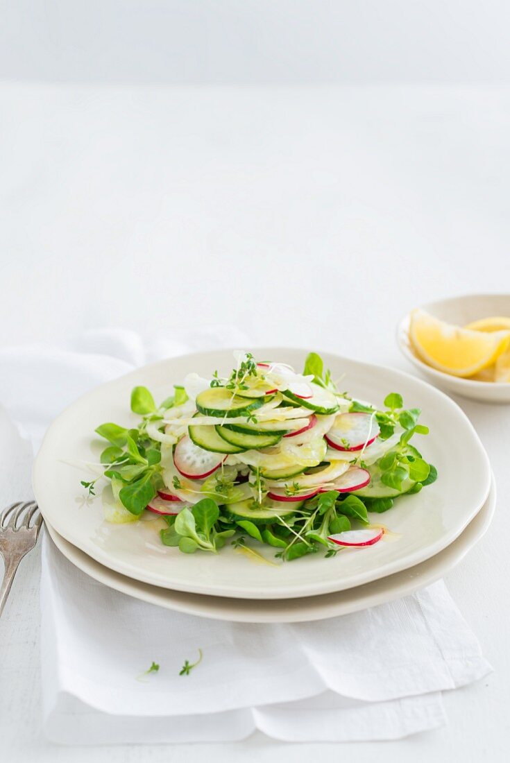 Cucumber and fennel salad with radishes