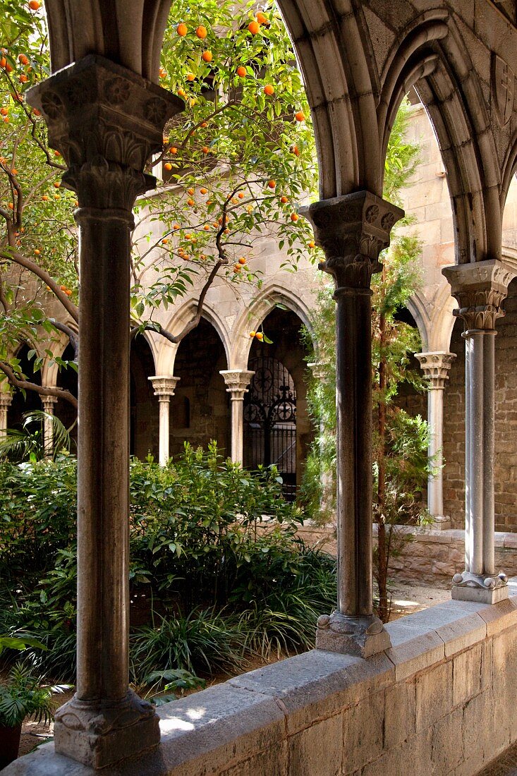 Kreuzgang der Kirche Santa Anna in Barcelona, Katalonien, Spanien