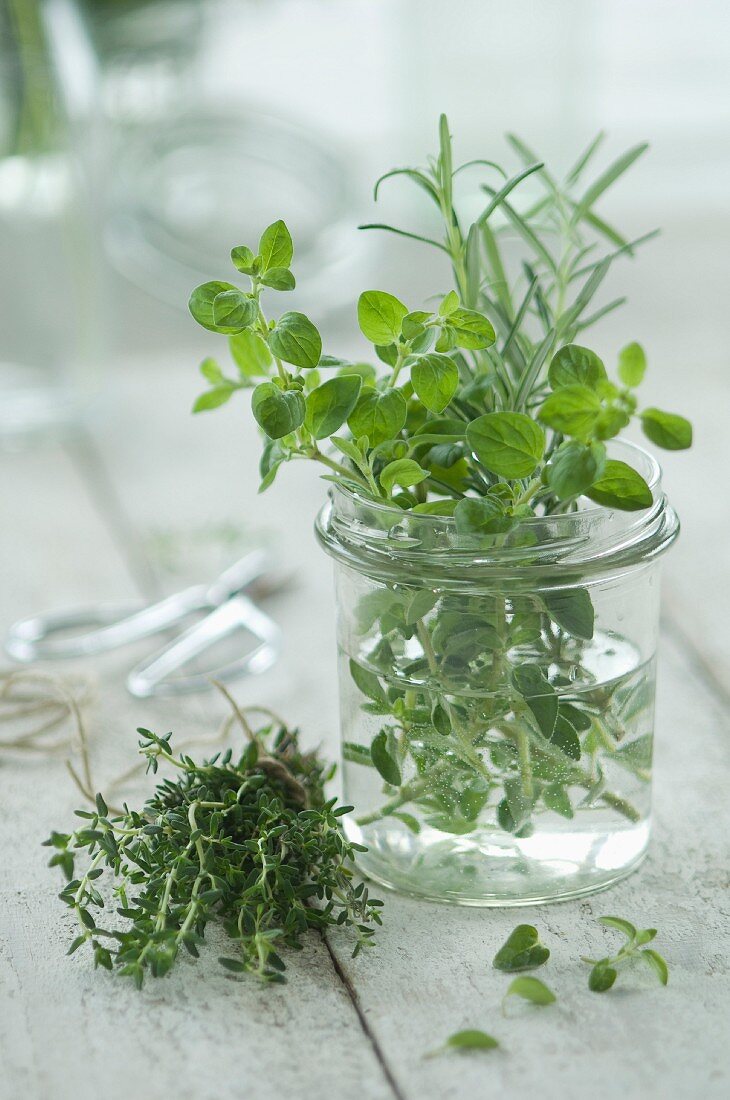 Oregano and rosemary in a glass of water with fresh thyme in the foreground