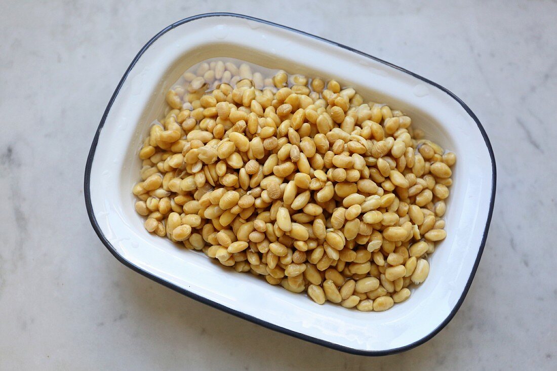 Soaked organic soya beans in an enamel tub on a marble surface