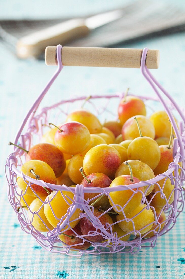 Yellow plums in a lilac wire basket