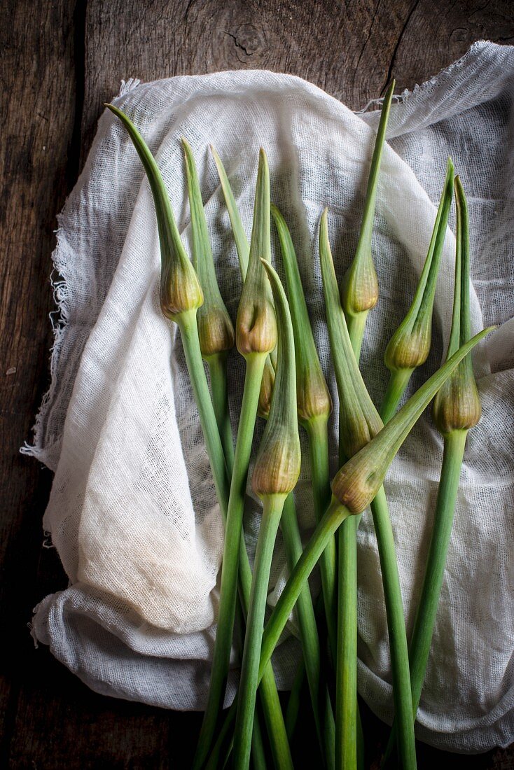 Serpent garlic on a white cloth