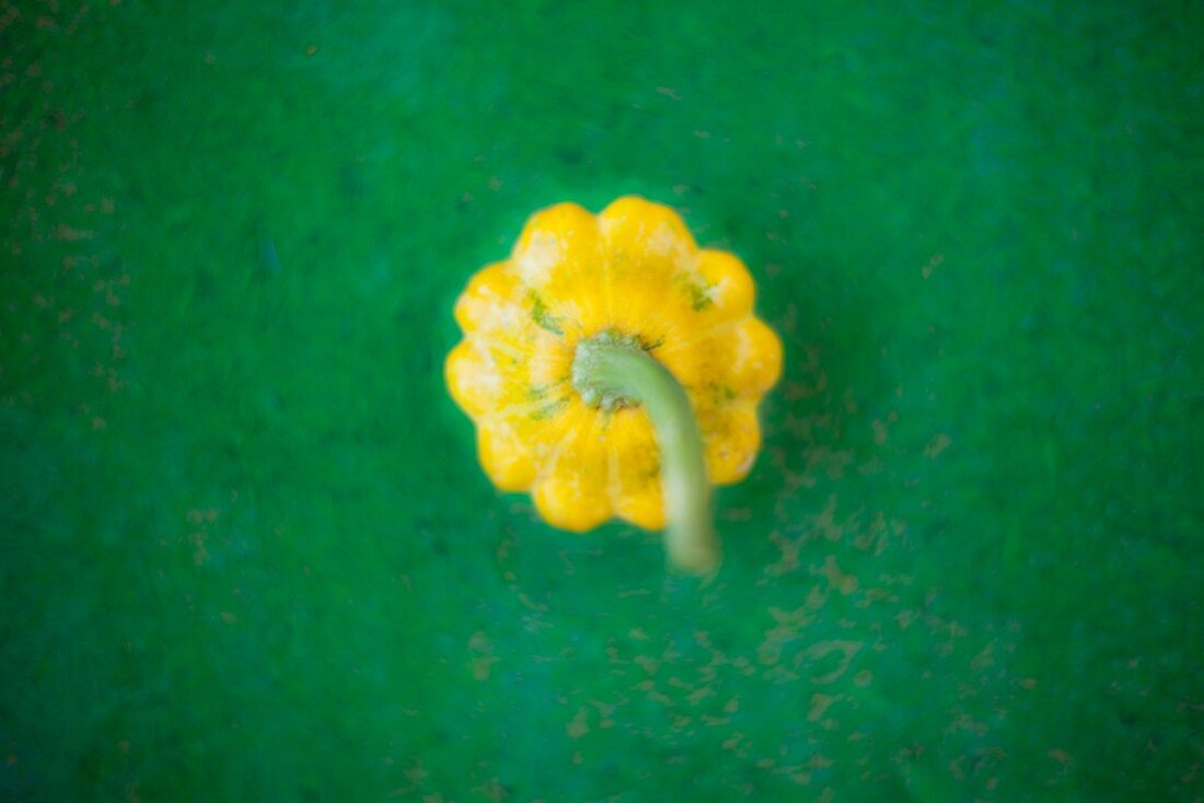 A yellow patty pan squash on a green surface