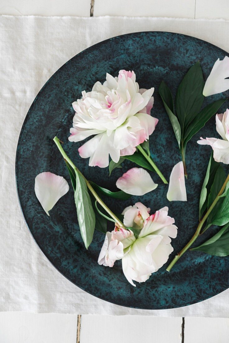 Peony flowers in a bowl (seen from above)