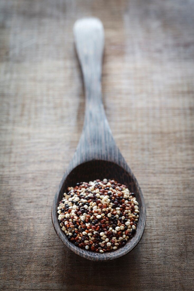 Uncooked Tricolour quinoa on a wooden spoon