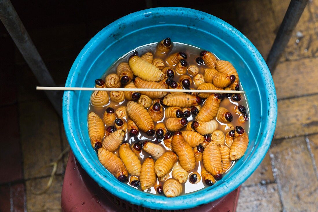 Gewaschene Larven des Rüsselkäfer für Grillspiesse (Ecuador)