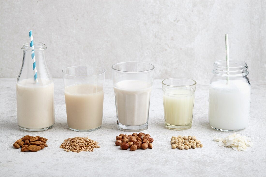 Various types of vegan milk
