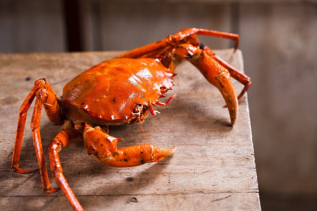 A crab on a wooden table