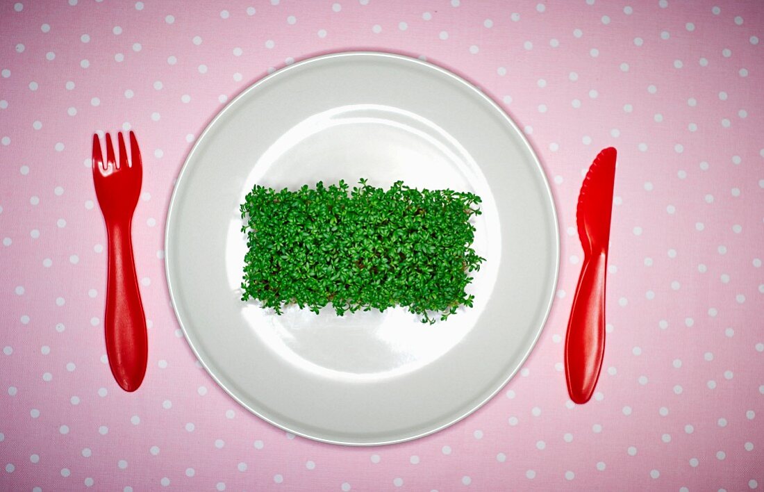 Fresh garden cress on a plate with plastic cutlery (seen from above)