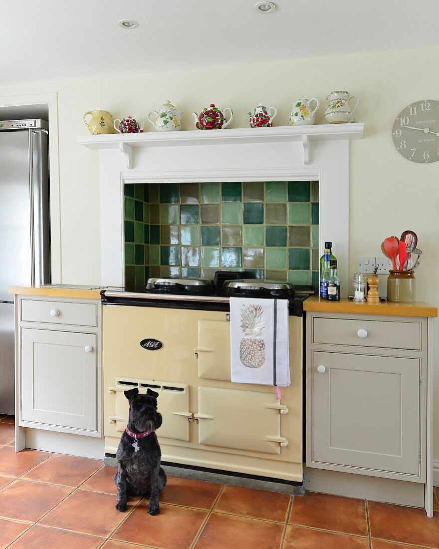 Dog sitting in front of AGA cooker below mantel hood with tiled splashback in shades of green