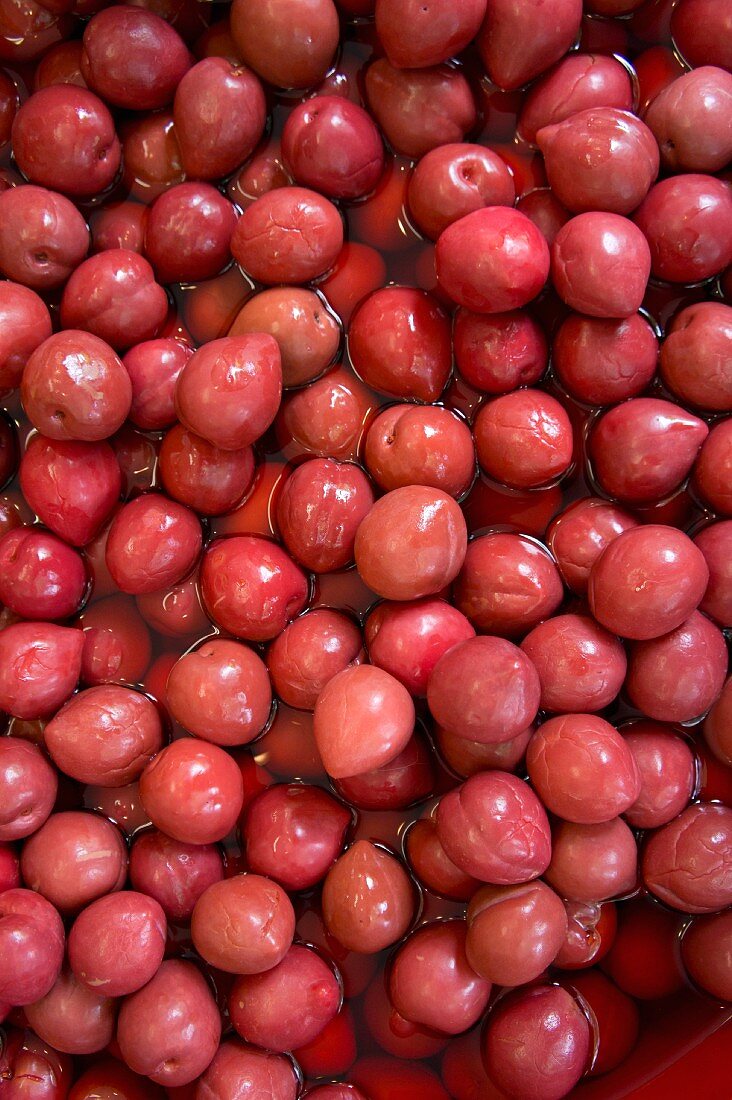 Pickled ume (Japan)