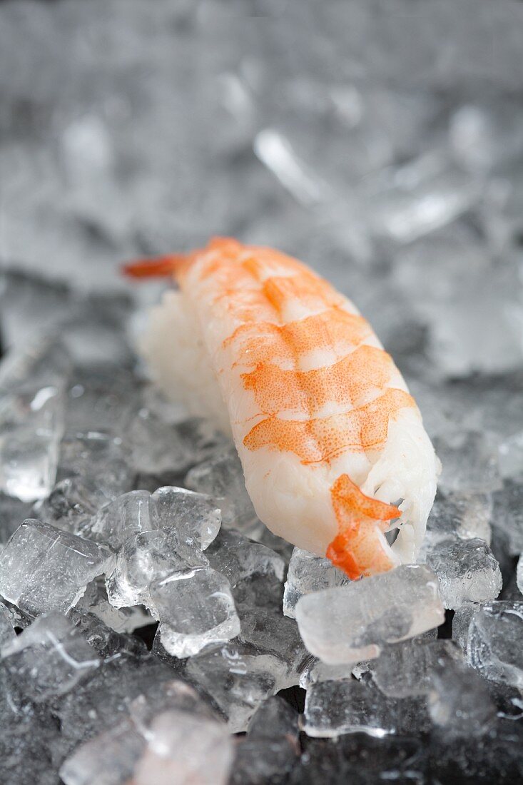 Nigiri sushi with a prawn on ice