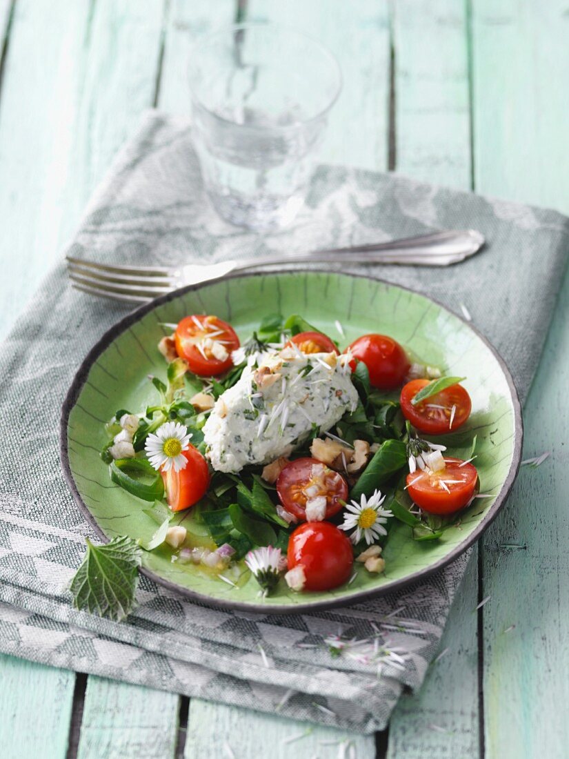 Gänseblümchensalat mit Nocken aus Brennessel-Frischkäsenocke