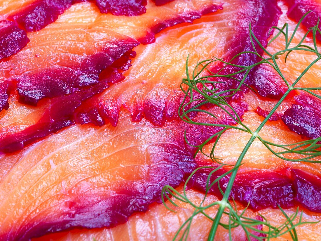 Norwegischer graved Lachs in Scheiben mit Dillzweig