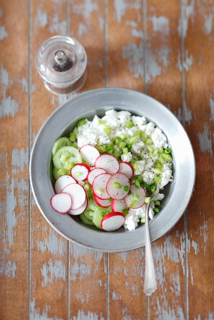 Quark mit Radieschen, Lauch und Gurken